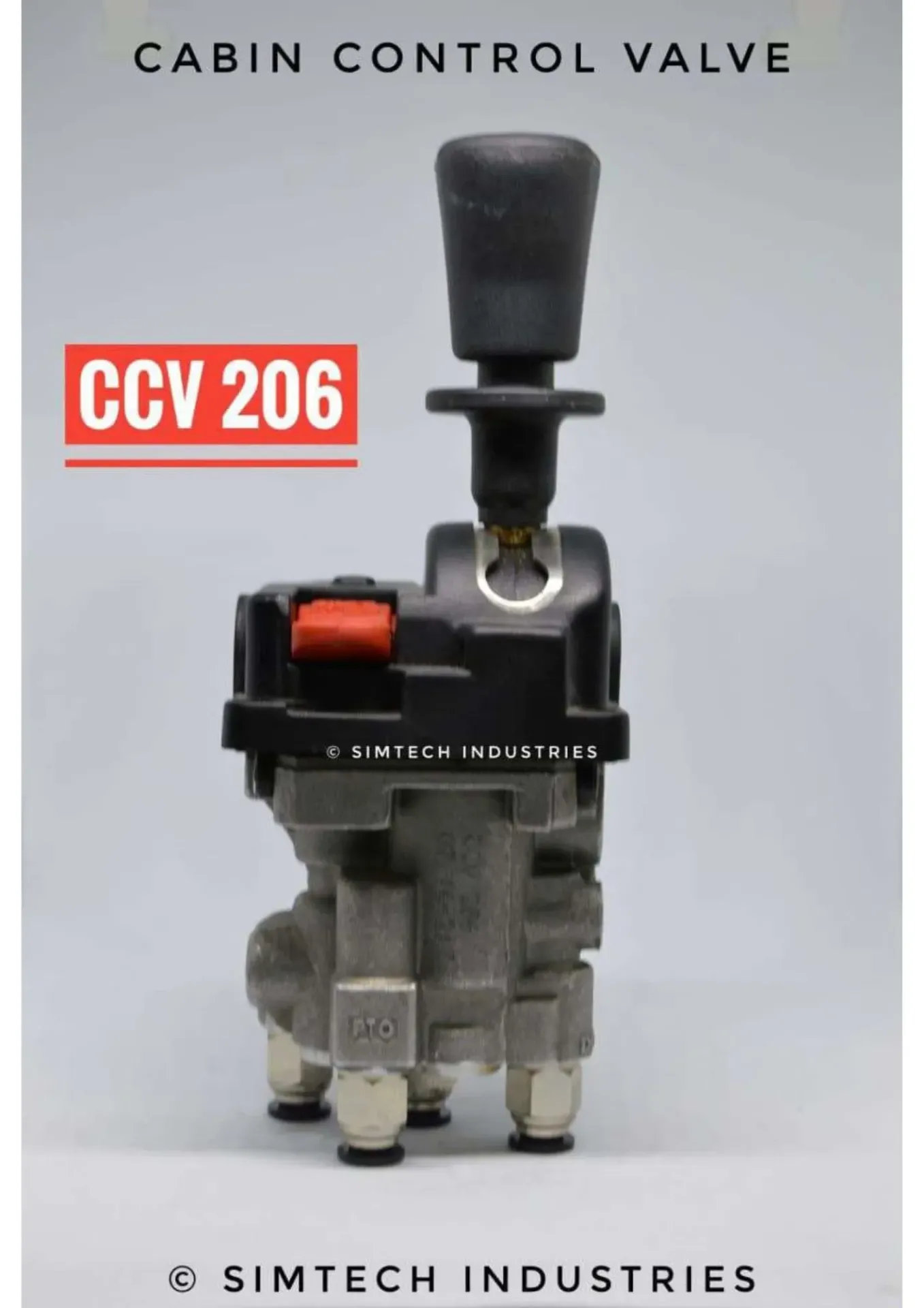 CCV 206