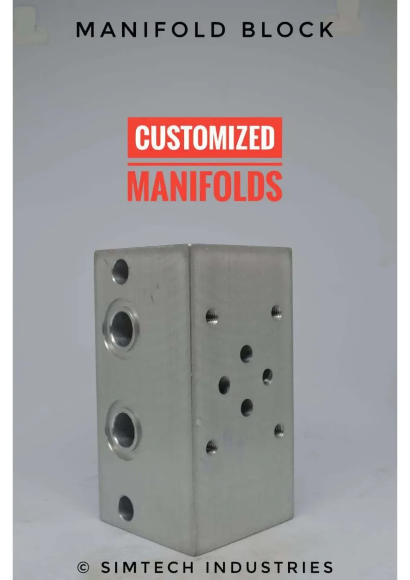 CUSTOMIZED MANIFOLDS